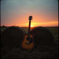 Romance in  the hayfield