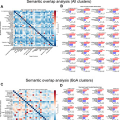 AI Tracks Nearly 100 Years of Aging Research, Revealing Key Trends and Gaps