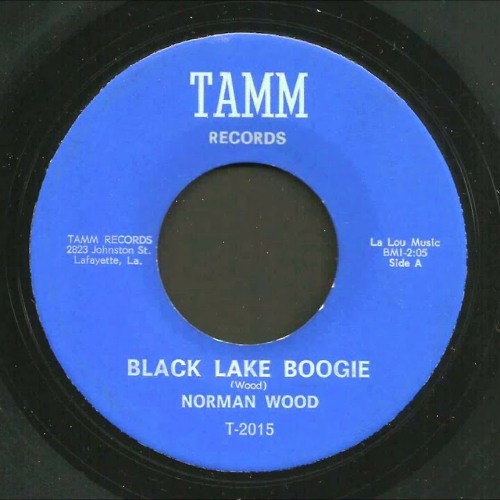 Stream Black Lake Boogie - Rockabilly 45 by Terrible Nong | Listen online  for free on SoundCloud