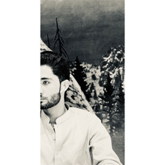 Tanrı Türkə Yar Olsun Remix (ft. Ş