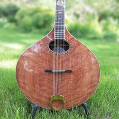 Short-Scale, redwood top & Ziricote body