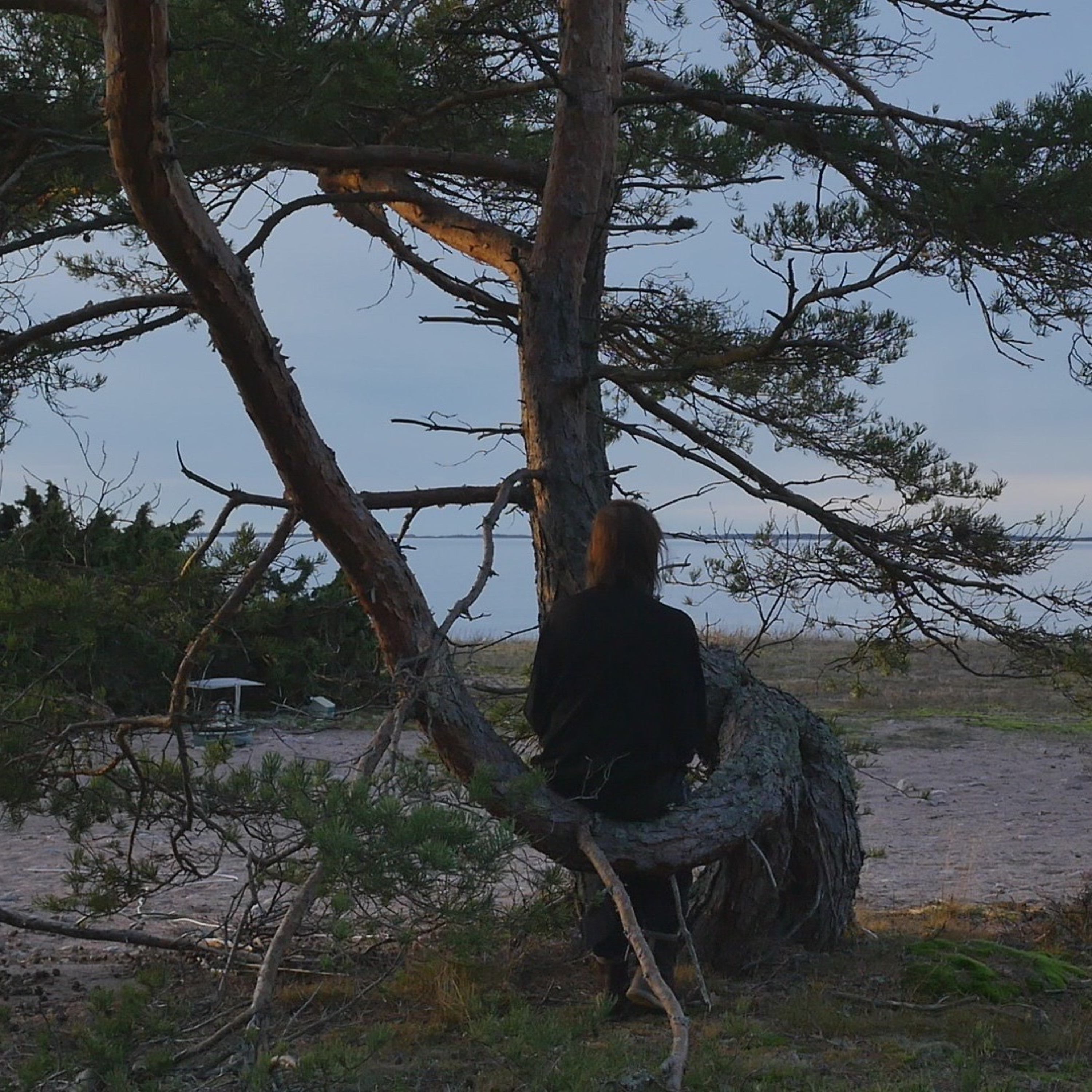 Talar med träd - 7 episode artwork