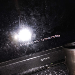 Updating your system (100%)