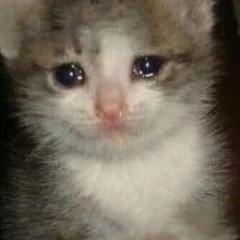 a pearl - mitski - (sped up)