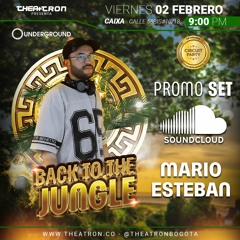 DJ Mario Esteban - THEATRON Back To The Jungle 02.02.2024