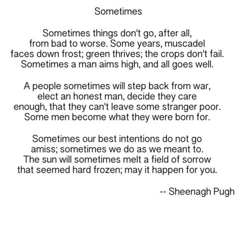 09 Sometimes by Sheenagh Pugh