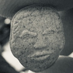 Xosnnenia