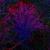 Artwork for ELECTRONEGATIVE