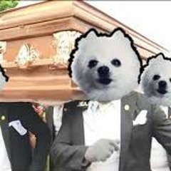 Gabe The Dog - Astronomia Coffin Dance Meme