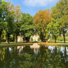 Yo no canto porque sí (2025)