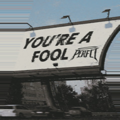 PERFCT - FOOL (FREE DL)