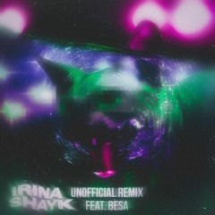 Irina Shayk (Unofficial Remix) feat. BeSa
