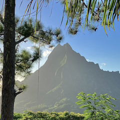 HIANAU E-HENERE (HR BASS)
