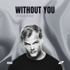 Avicii - Without You (CASALOVE Remix)