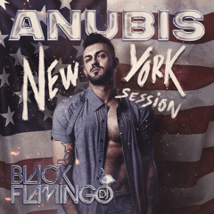 NEW YORK SESSION ANUBIS BY BLACK FLAMINGO DJ