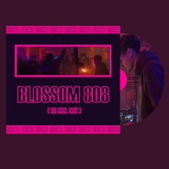 RISKO - BLOSSOM808 (20Min.Mix)