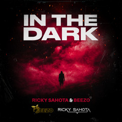 beezo & ricky sahota - in the dark (mastered)
