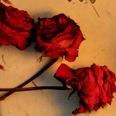 Who has been painting my roses red?