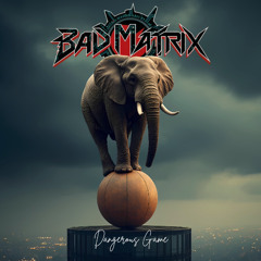 Bad Matrix -  Taking it out on Me