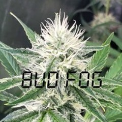 Bud Fog [Feat. Stogz]