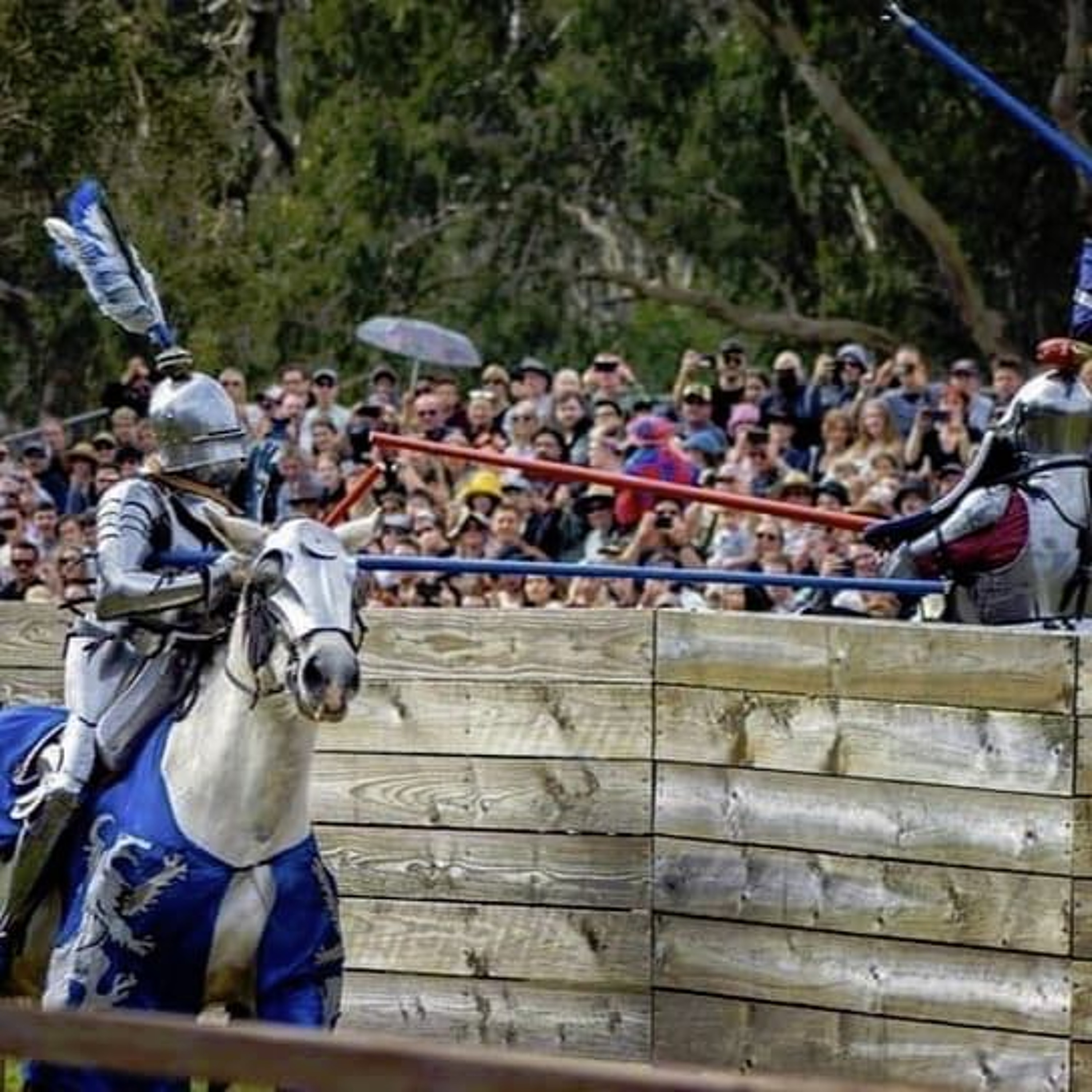 Medieval Sportsman Andrew McKinnon Took Up Jousting At 40 -Helen Hayes episode artwork