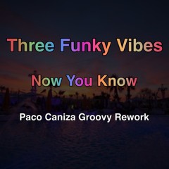 Three Funky Vibes - Now You Know (Paco Caniza Groovy Rework)