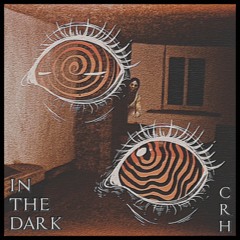 In The Dark