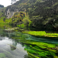 Cry ~ Cigarettes After Sex ( Cover )