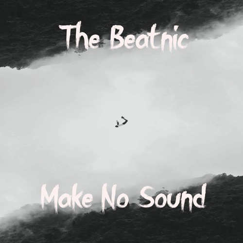 Make No Sound