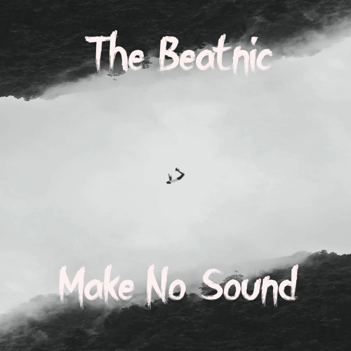 Make No Sound