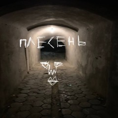 сквозь лесной массив(2022)