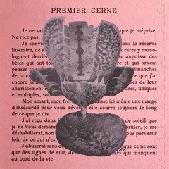 Nous n'avons rien à perdre mais tout à égarer