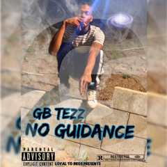 No Guidance