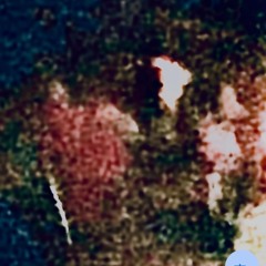 Waste Away TwentyOne Hundread Gully 2100 "two banz and one hundread"