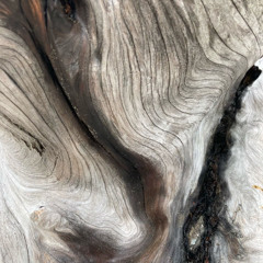 Ripening of Serenity - ShivēR III