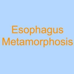 Esophagus Metamorphosis