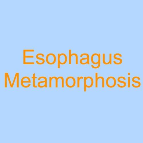 Esophagus Metamorphosis
