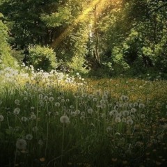 Dance in a Wonderland