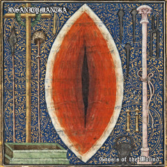 Insanity Mantra - Gnosis of the Wound Pt. 2