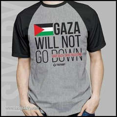 We Will Not Go Down (Song For Gaza)
