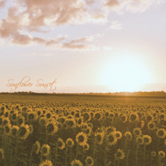 Sunflower Sunset (Official Audio)