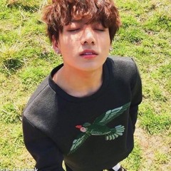 정국 - 숲