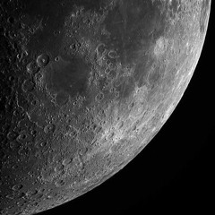 LATEX GLOVES (SNIPPET)