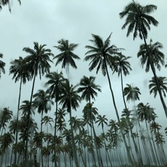 🎮 🎮  ACHIEVEMENT UNLOCKED 🎮  🎮  - YOU HAVE DISCOVERED # WuBZ#  🎮  🎮