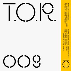 T.O.R. 009 Robag Wruhme - Wabb Bodun "Andre Kronert Remix"