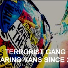 TERRORIST GANG - VANS ON MY FEET SINCE 07 DL