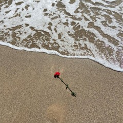 IDA Folder: Sonic Memories w/ Ricardo Baltazar & alice 01.12.25