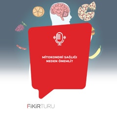 Mitokondri sağlığı neden önemli?