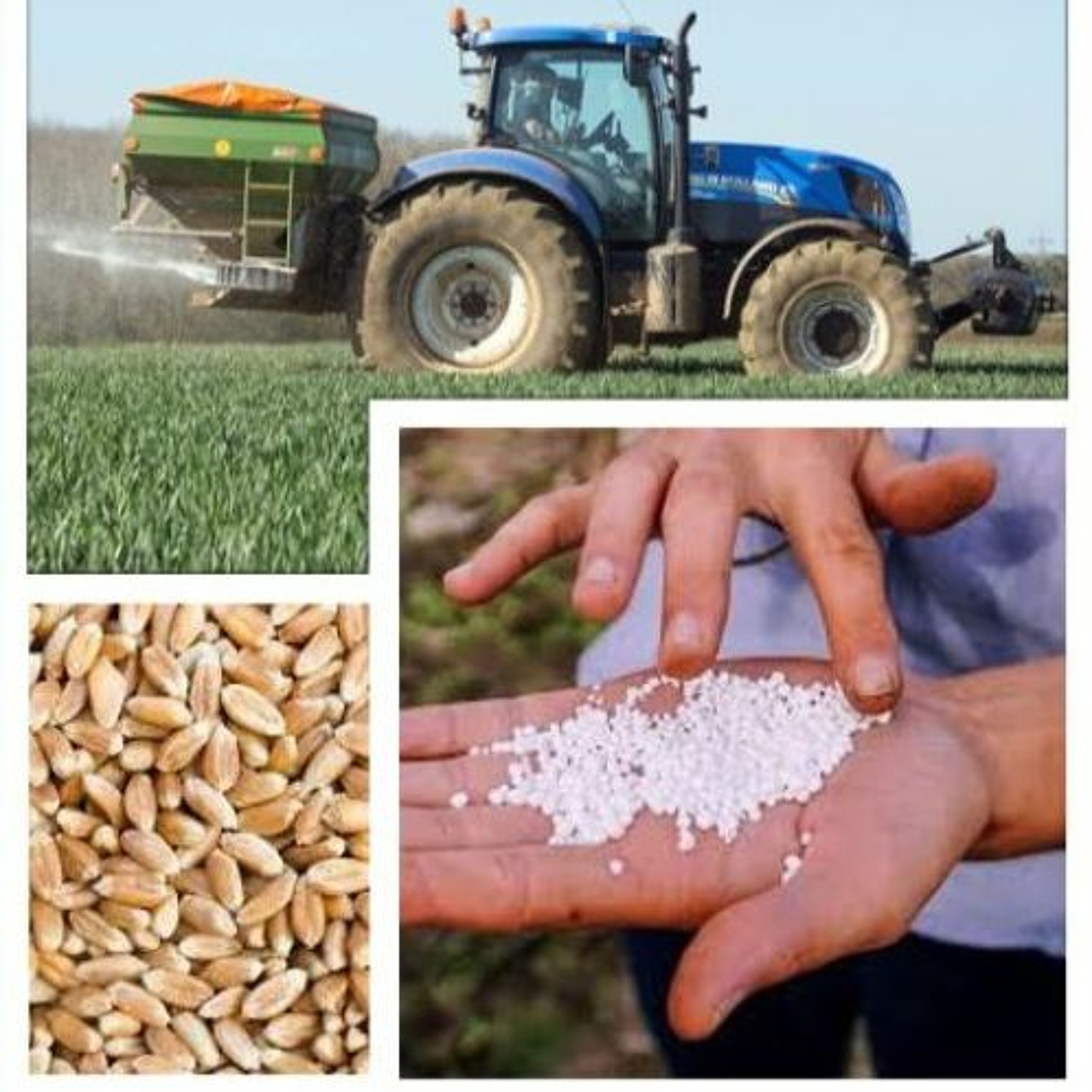 Southern Farming Systems