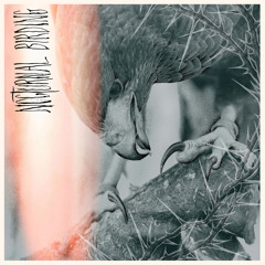 Mute Swan (feat. Megan Osztrosits)